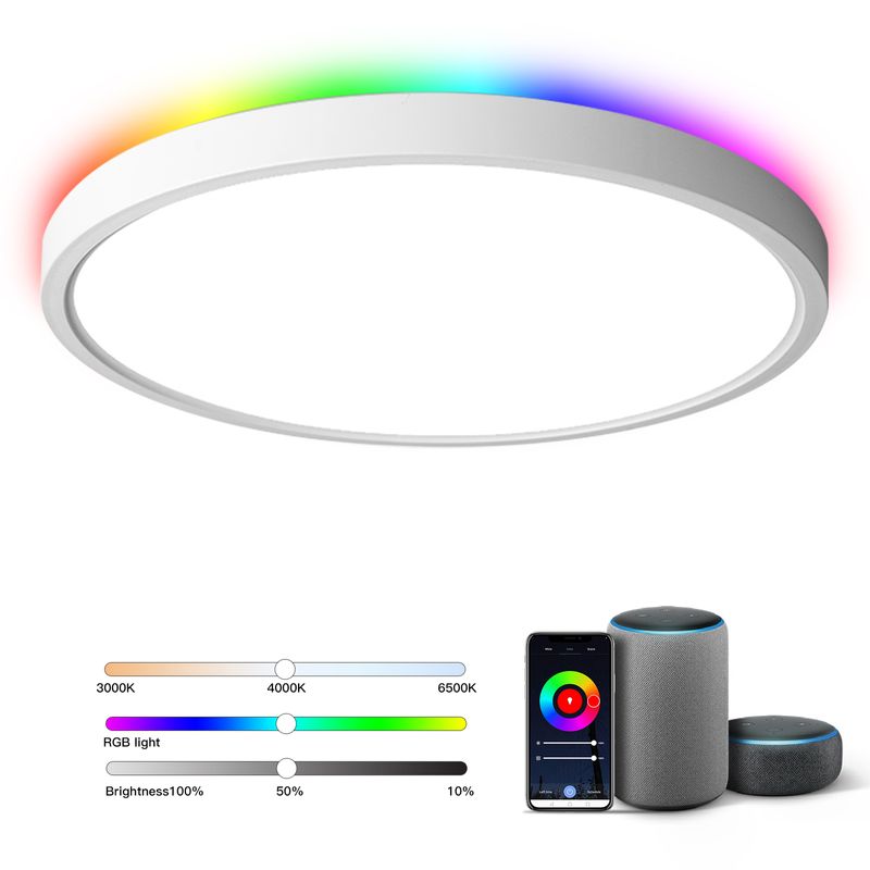 Smart ceiling light